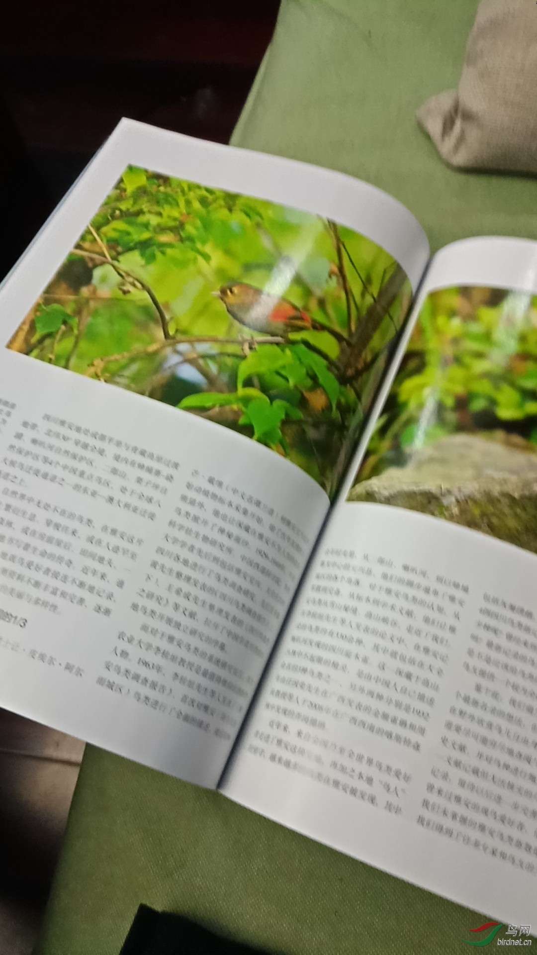 ΢��ͼƬ_20190315090520.jpg