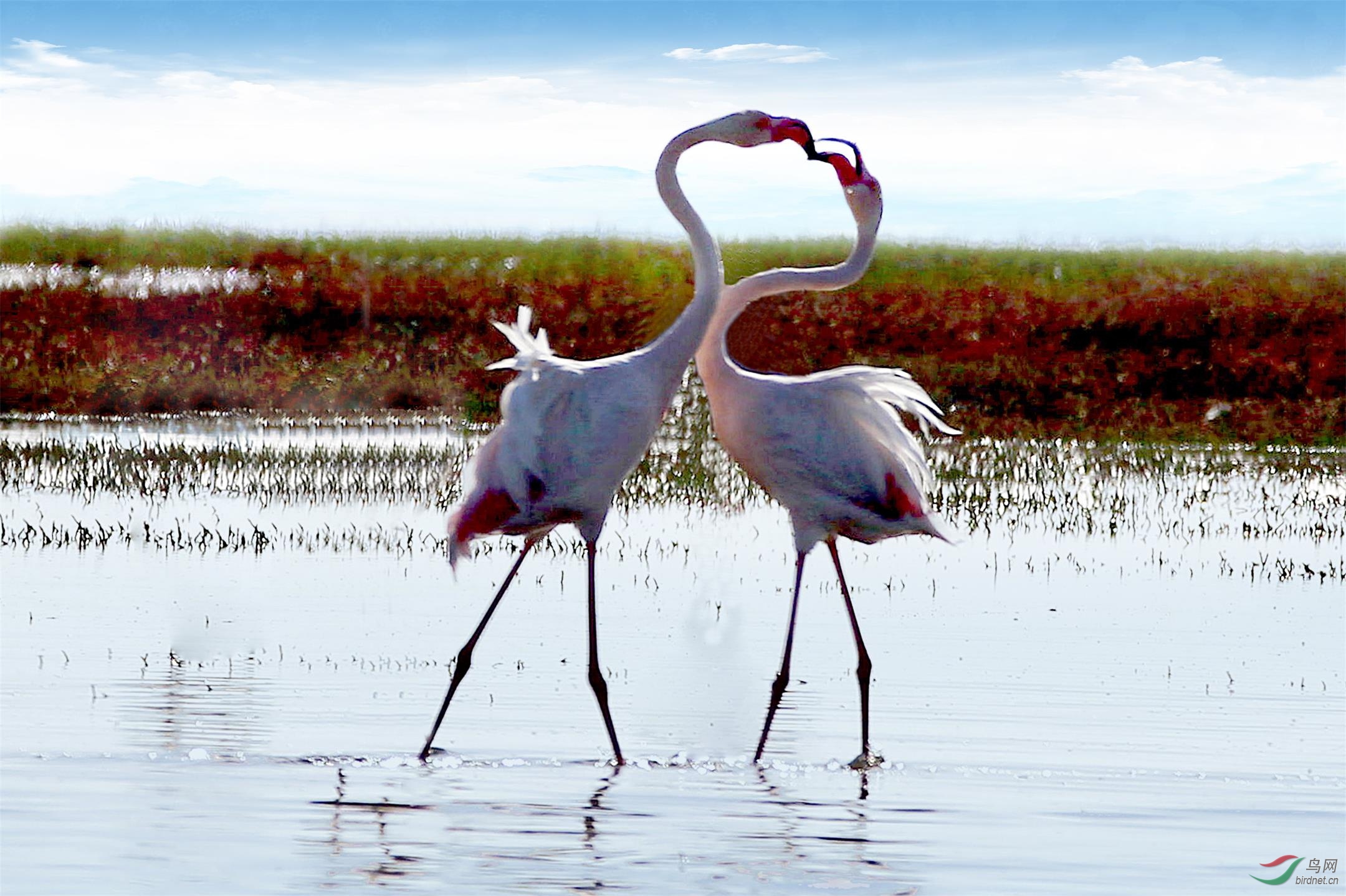 _65K0670_����_���� ��������_��ͼ��.jpg