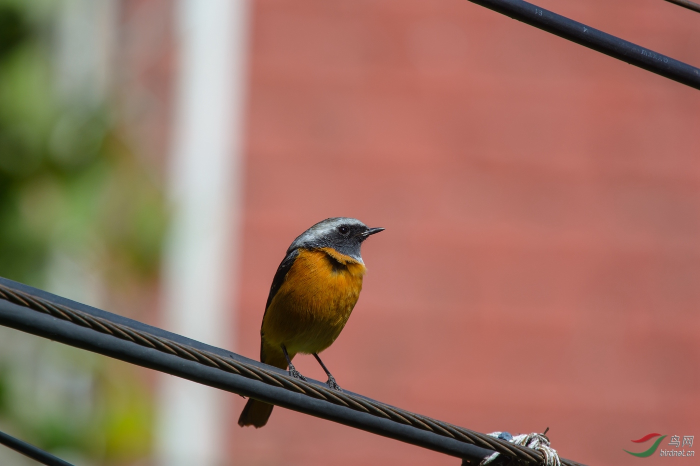 Neo_ 7.94m-DSC_7447-ACR.jpg