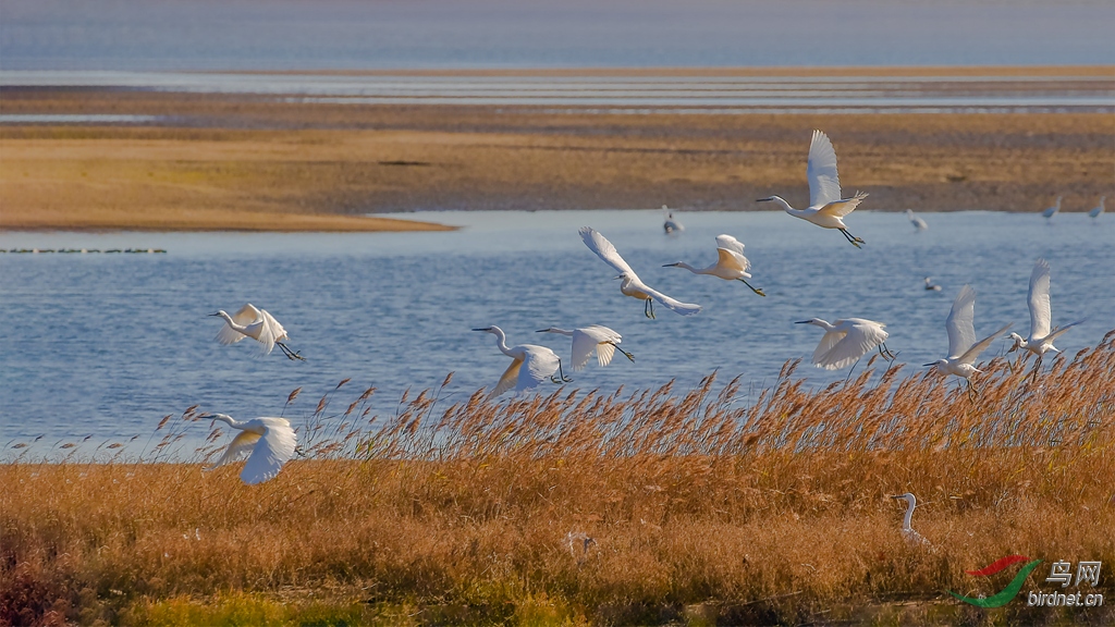 916A7842  01_����.jpg