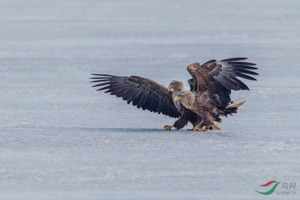 AK8I5321  �ֵ�_����.jpg