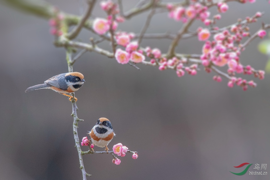 AK8I9279  01_����.jpg