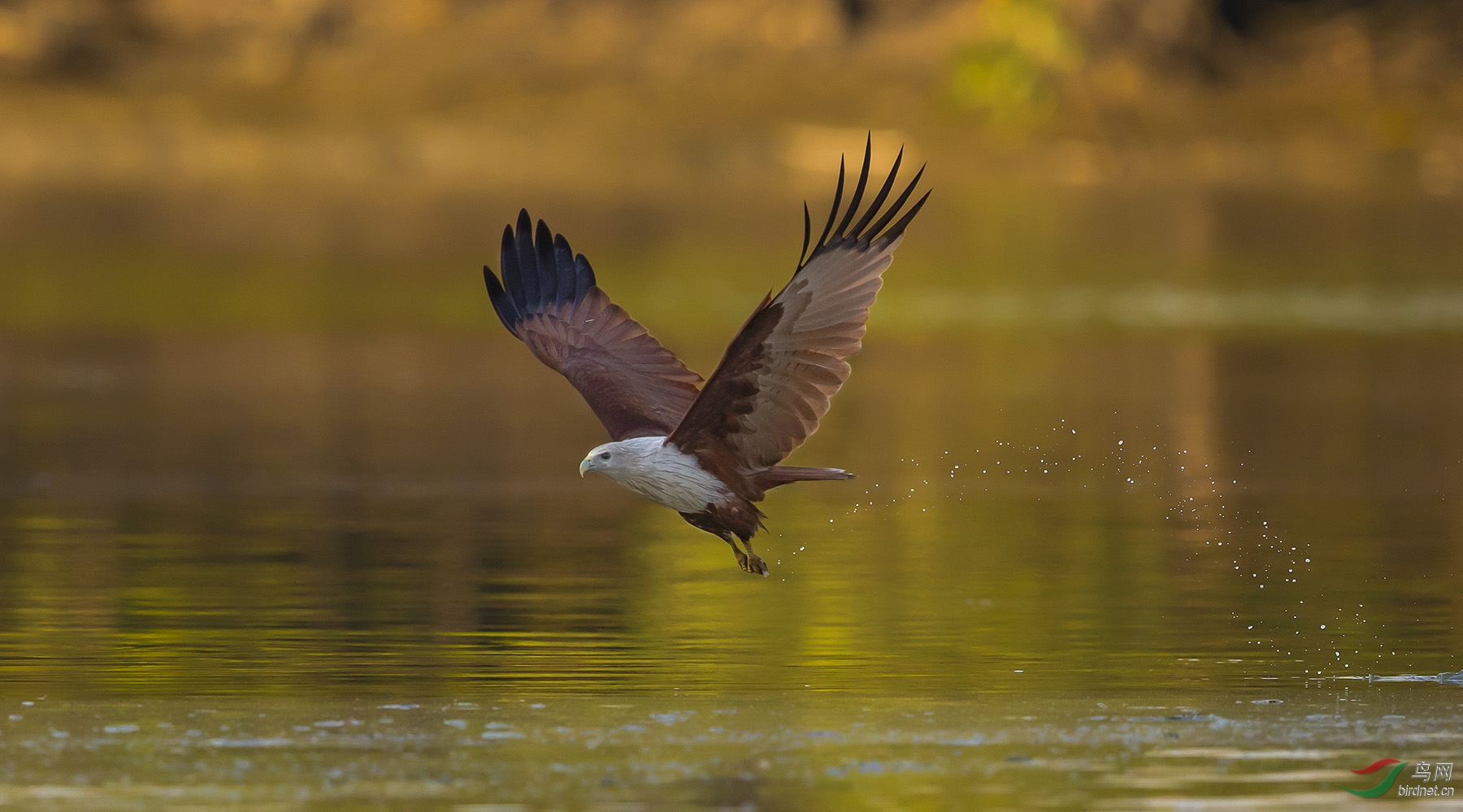 NL__0573-1.jpg