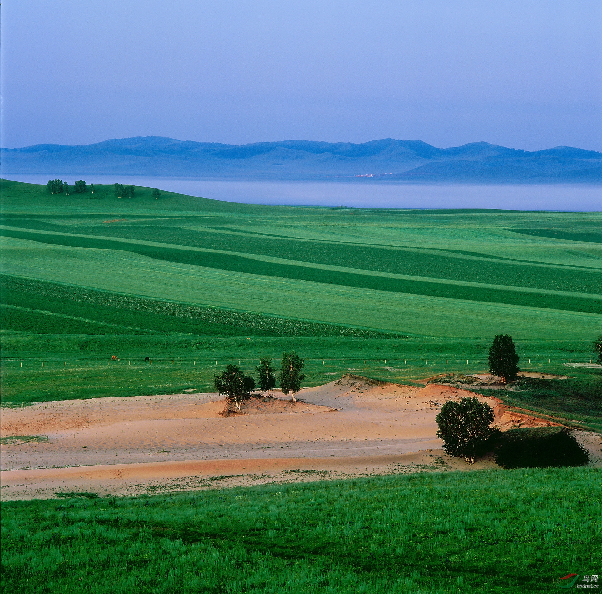 000016 ��������-1.jpg