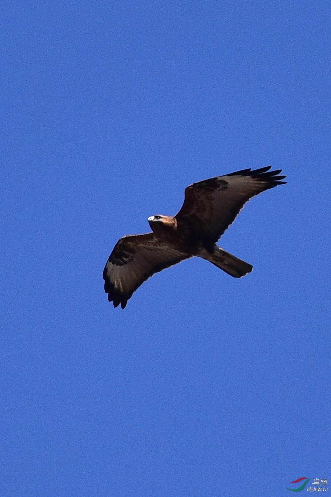 DSC_0829.JPG