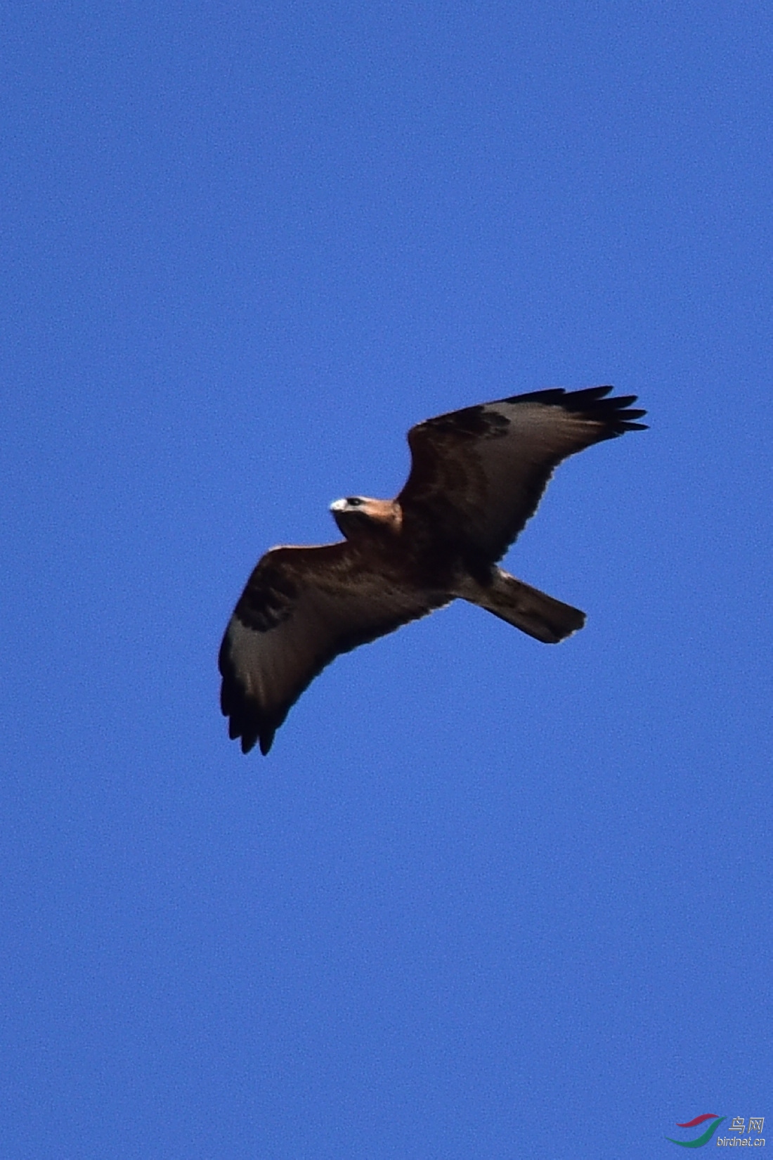 DSC_0830.JPG