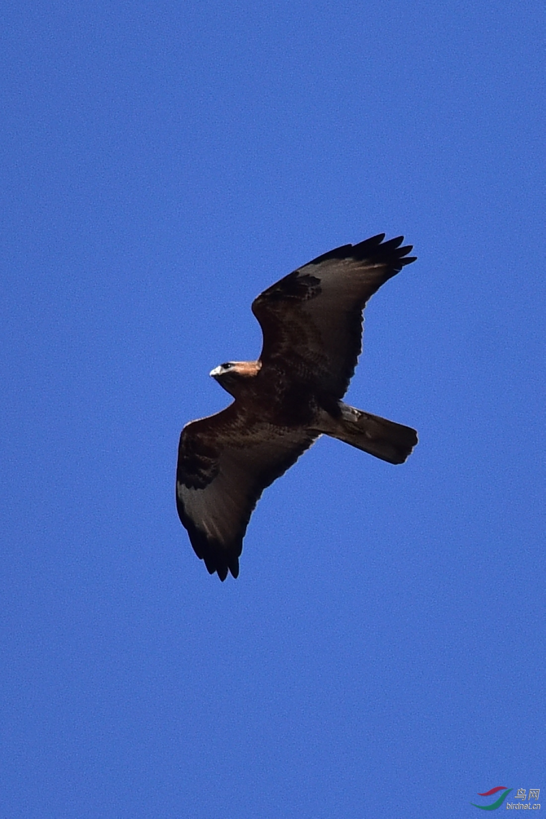 DSC_0832.JPG