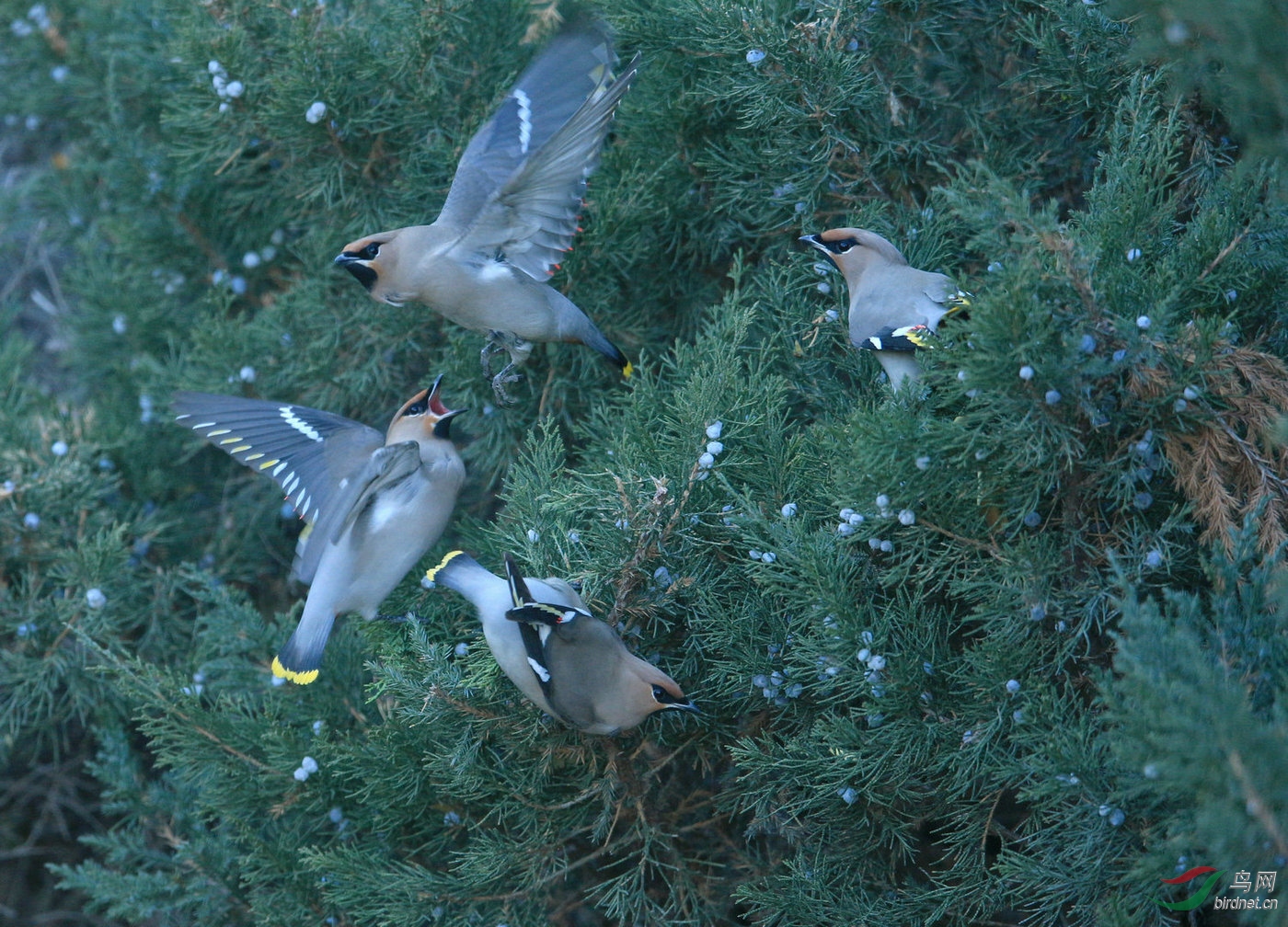 ���0742 ������̫ƽ3.jpg