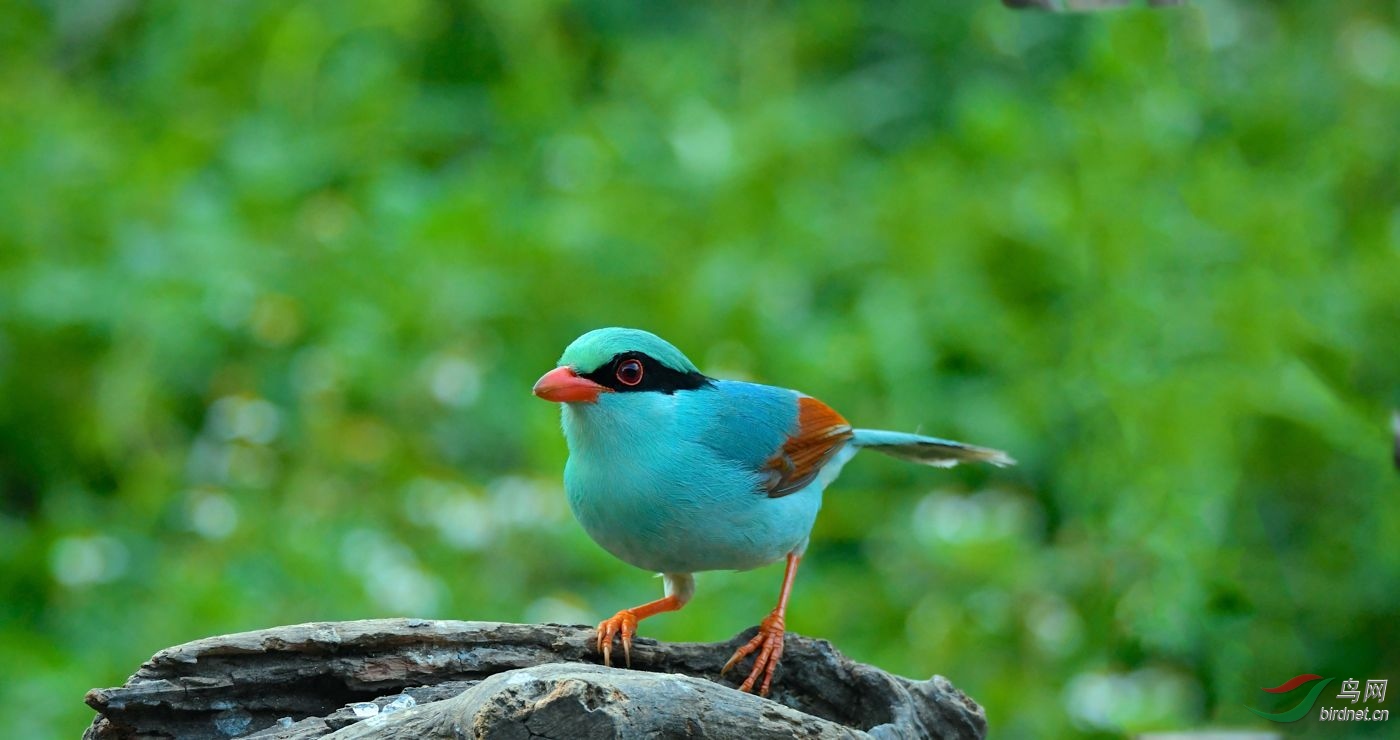 DSC_4115.jpg