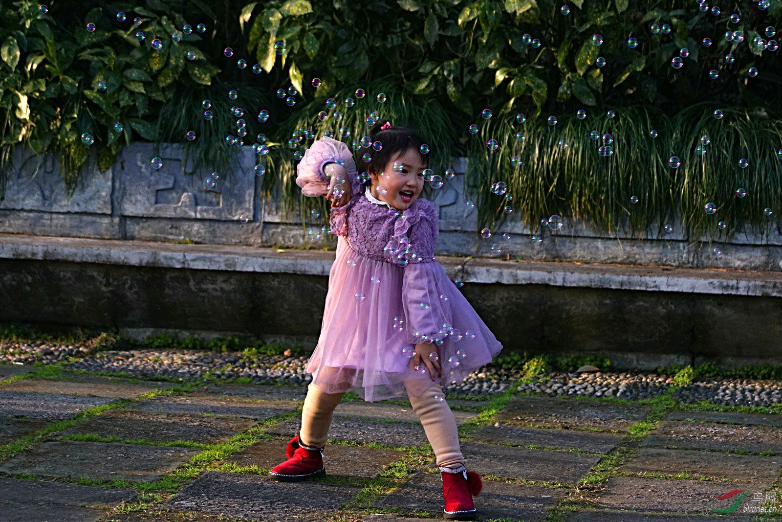 63A04657.jpg