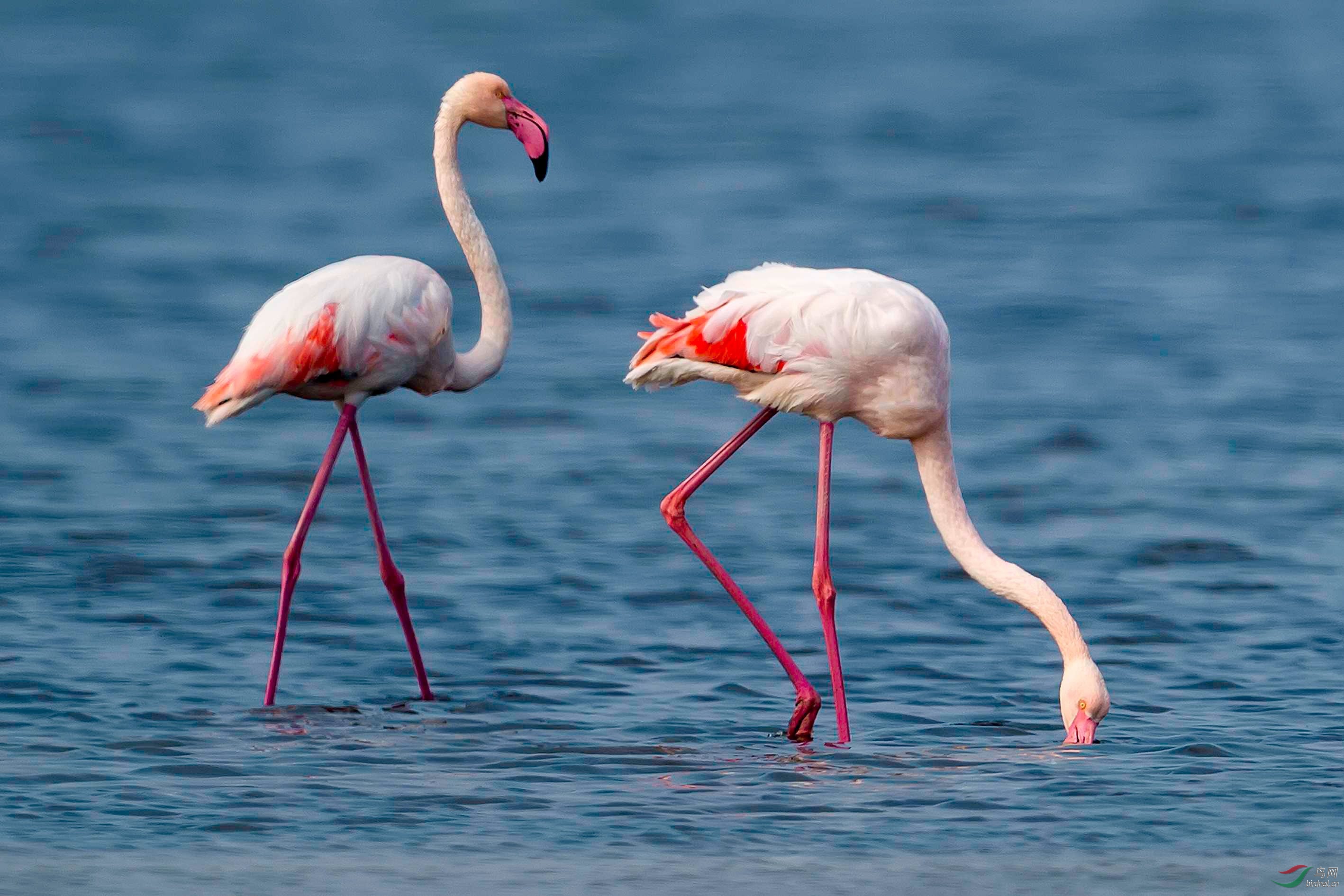 _DSC9104 b����_����.jpg