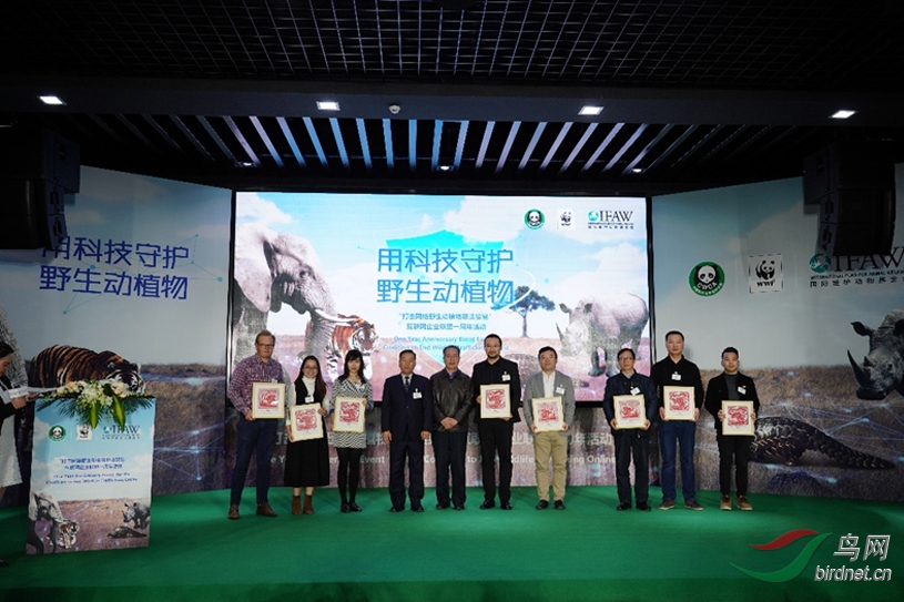 20190309-7.jpg