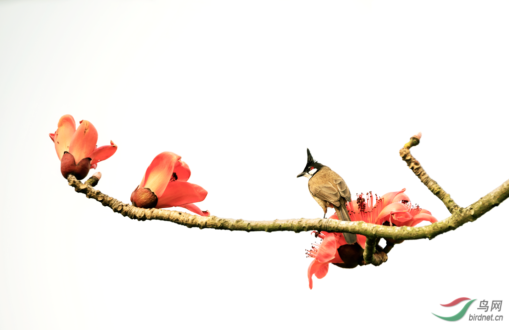 DSC_7240_����.png