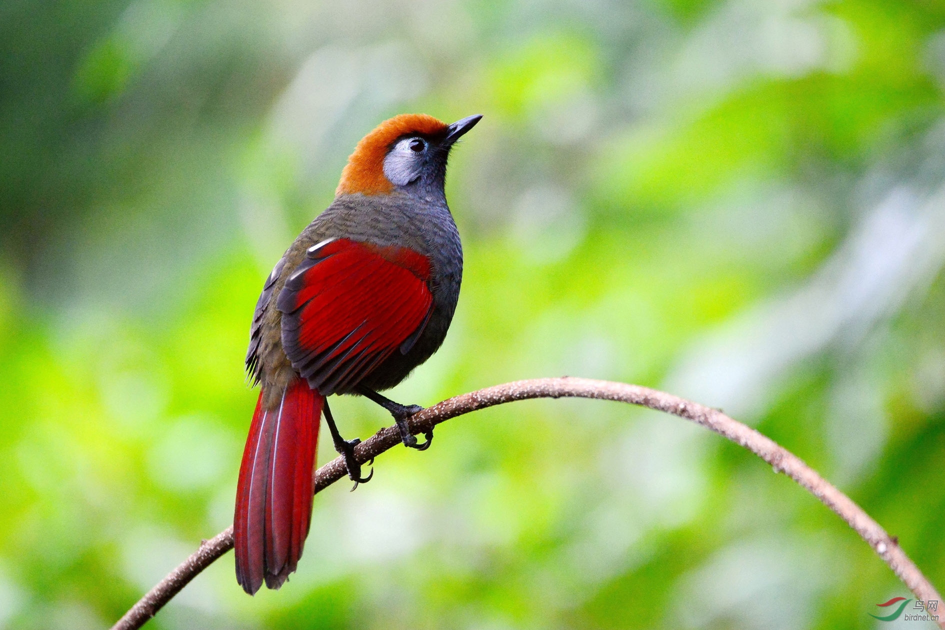 DSC_9302.JPG