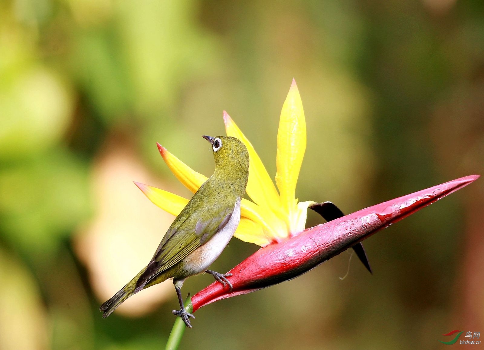 10.1.3_���� - ���� - ����.jpg