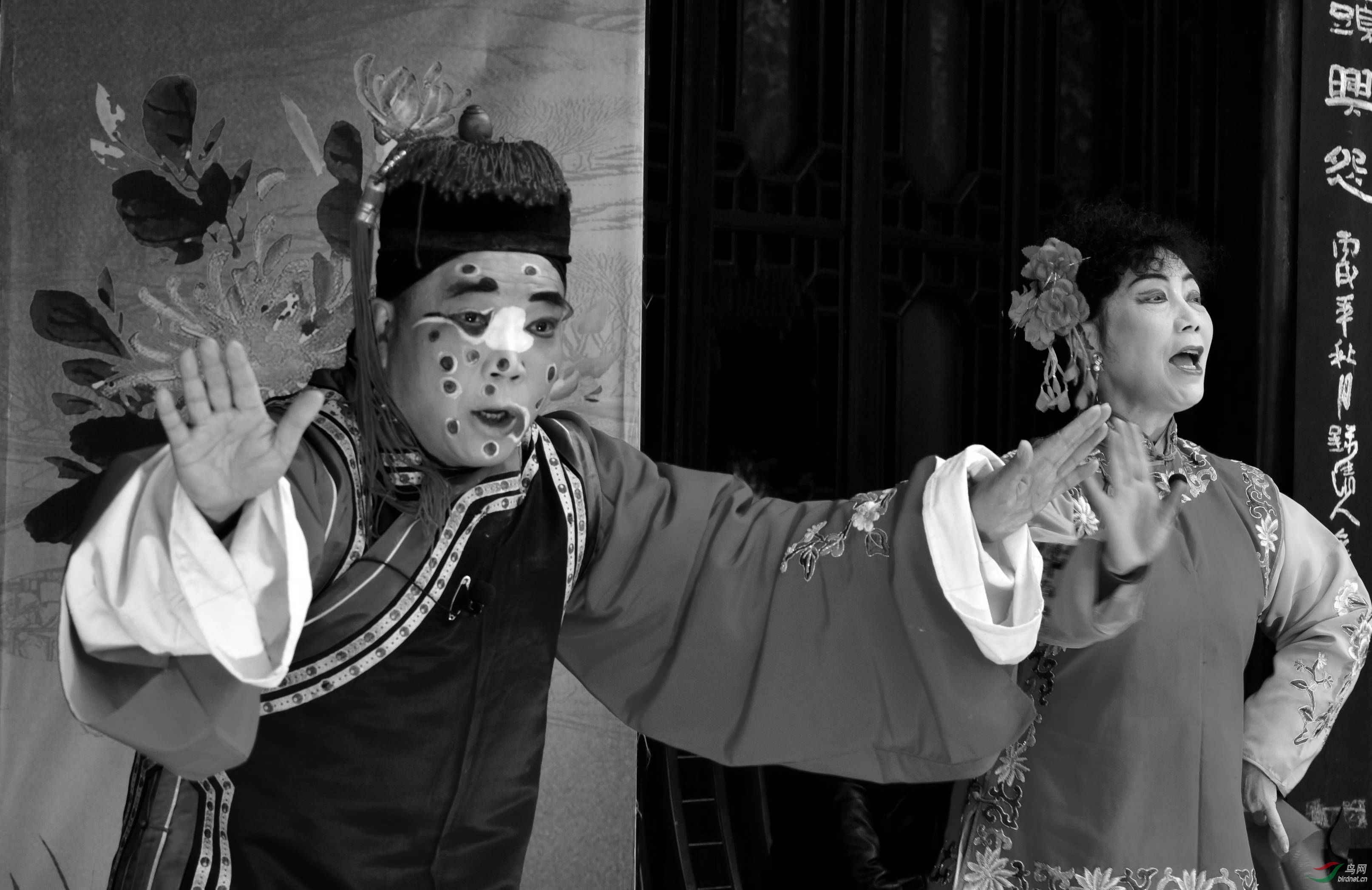 DSC_9191_conew4.jpg
