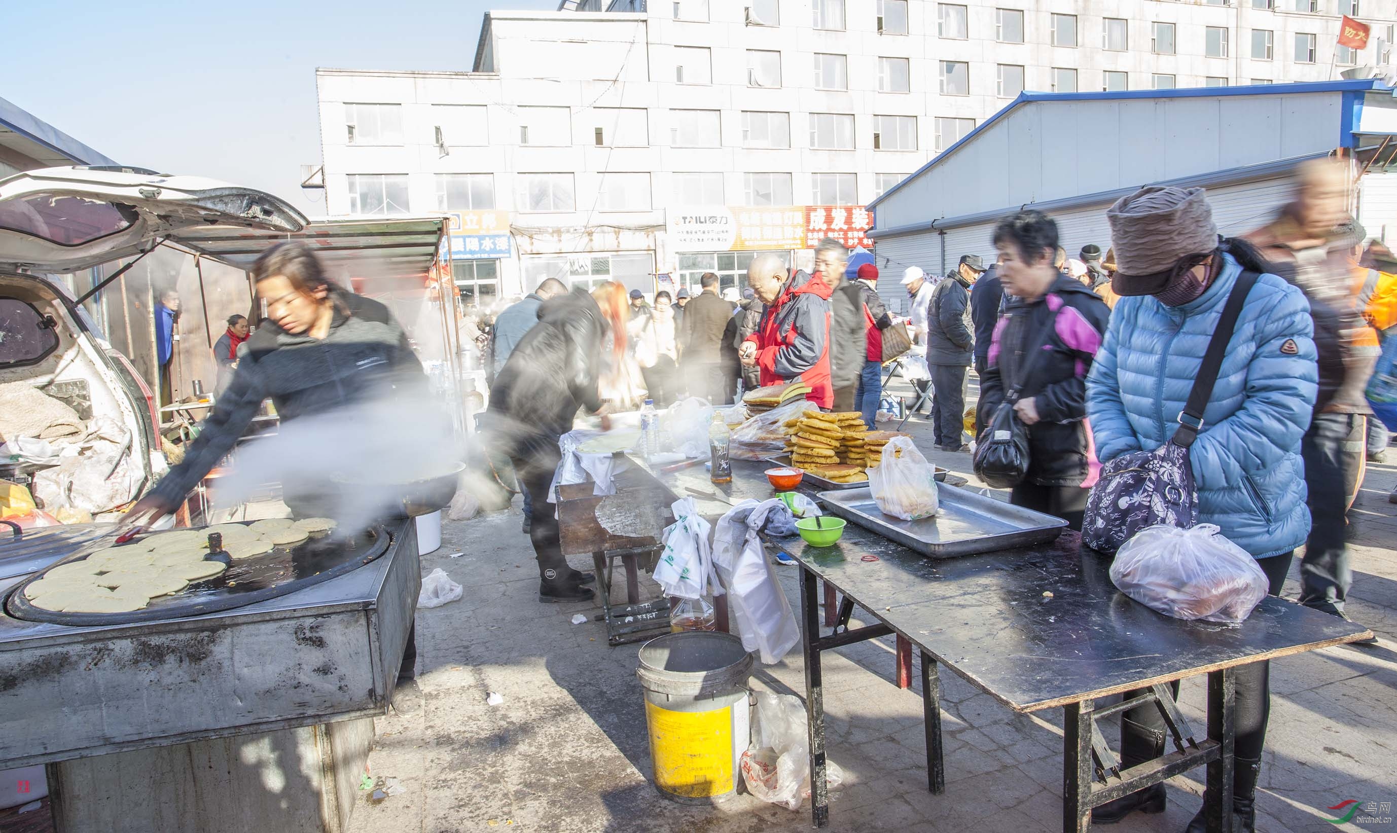 ���������ϡ�