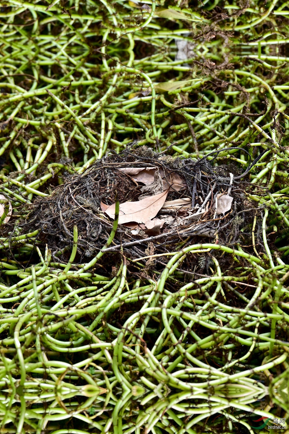 DSC_0381.JPG