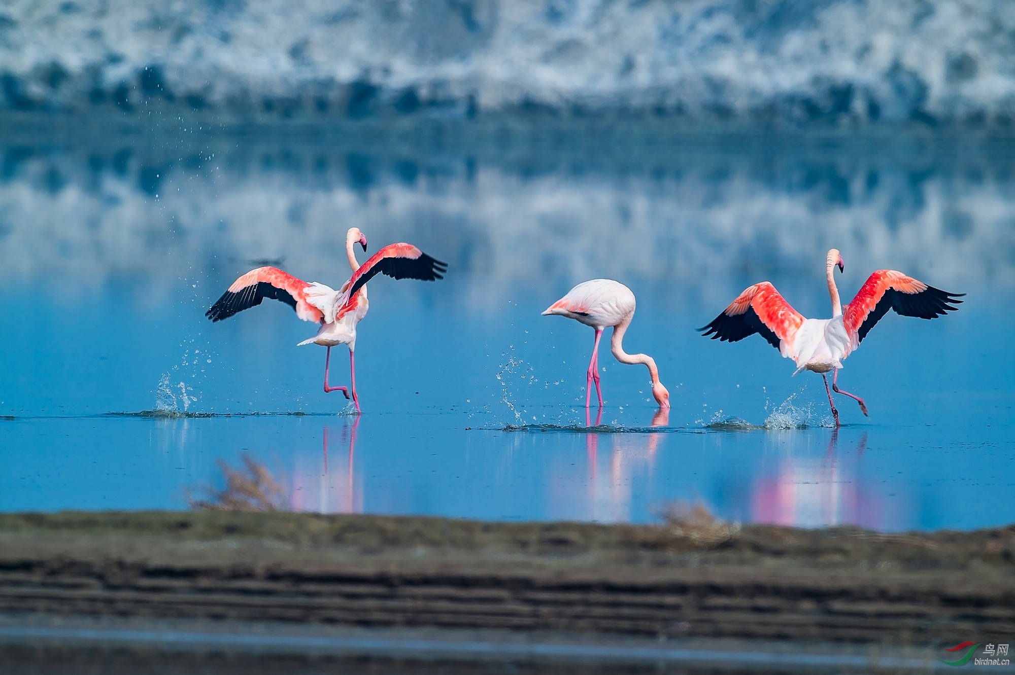 _DSC8701 ����_����_����.jpg