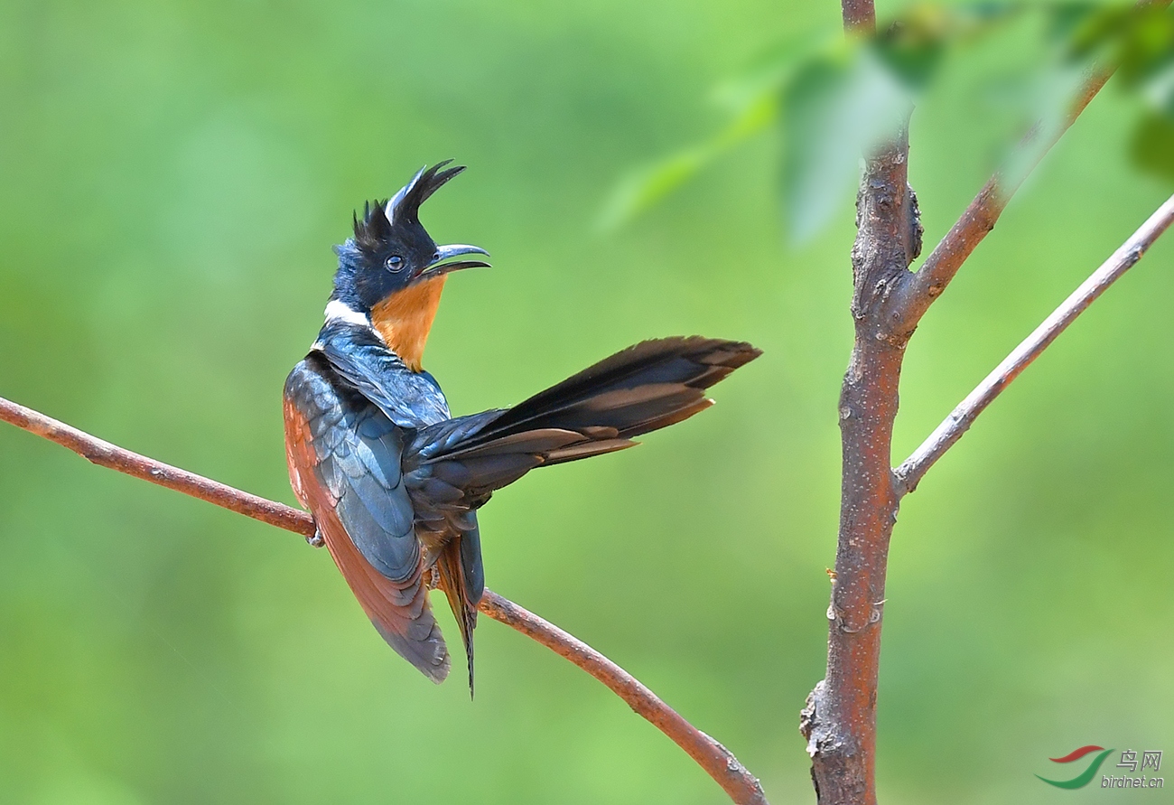 DSC_0703.jpg