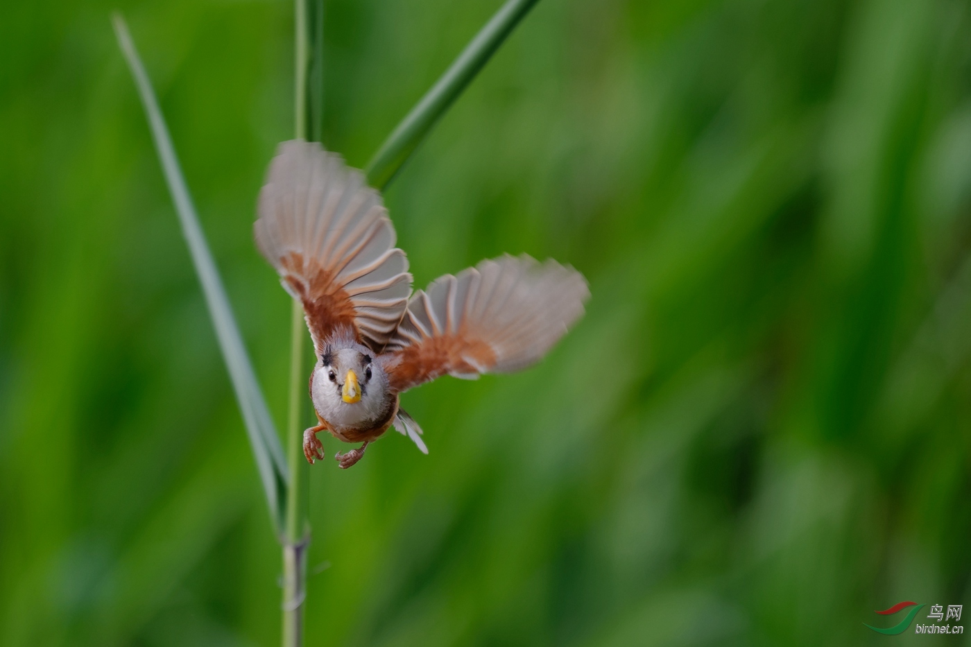 Neo_ 7.94m-DSC_2843_DxO1.jpg