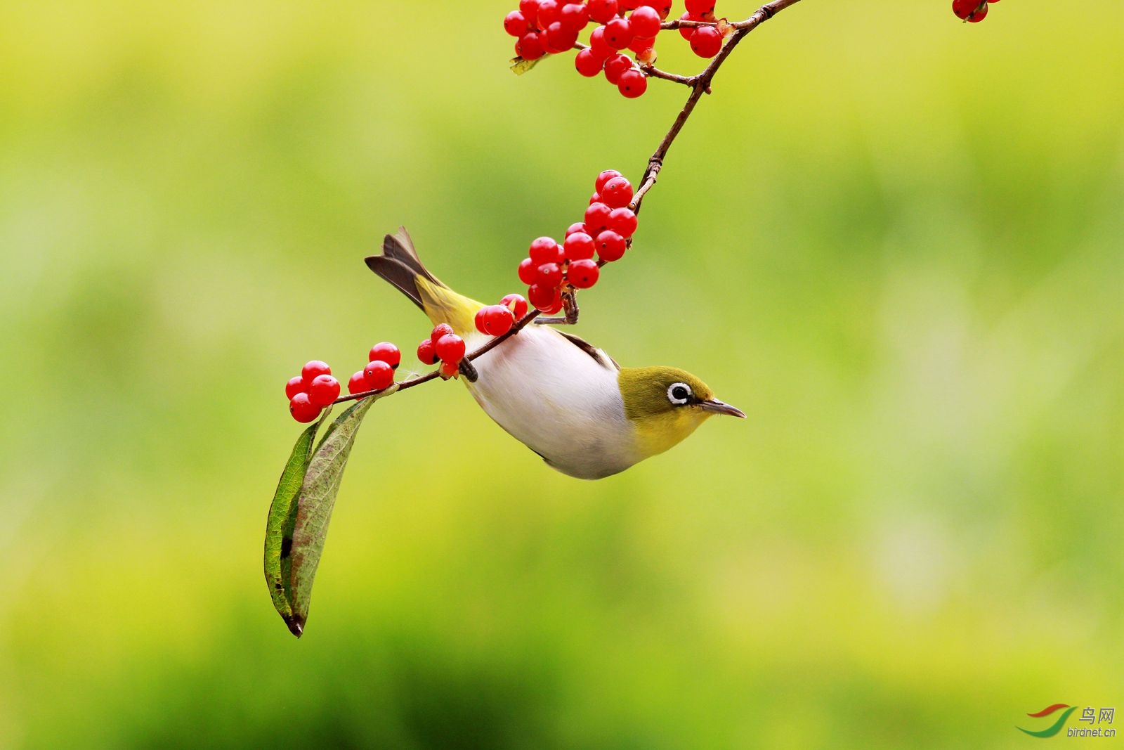 10.2���� - ����.jpg