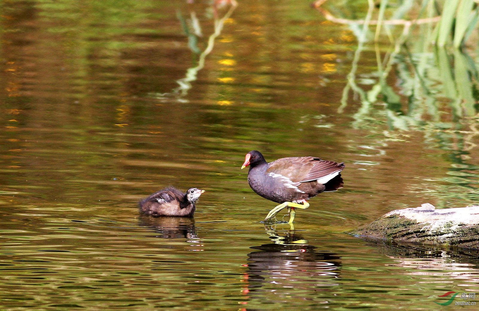 8.1.26_���� - ���� - ����.jpg