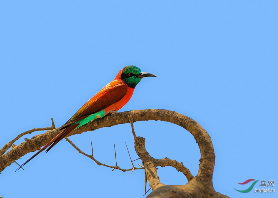 DSC_3404-1.jpg