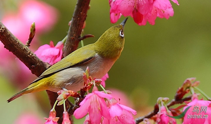 ��������1 - ���� (3).jpg