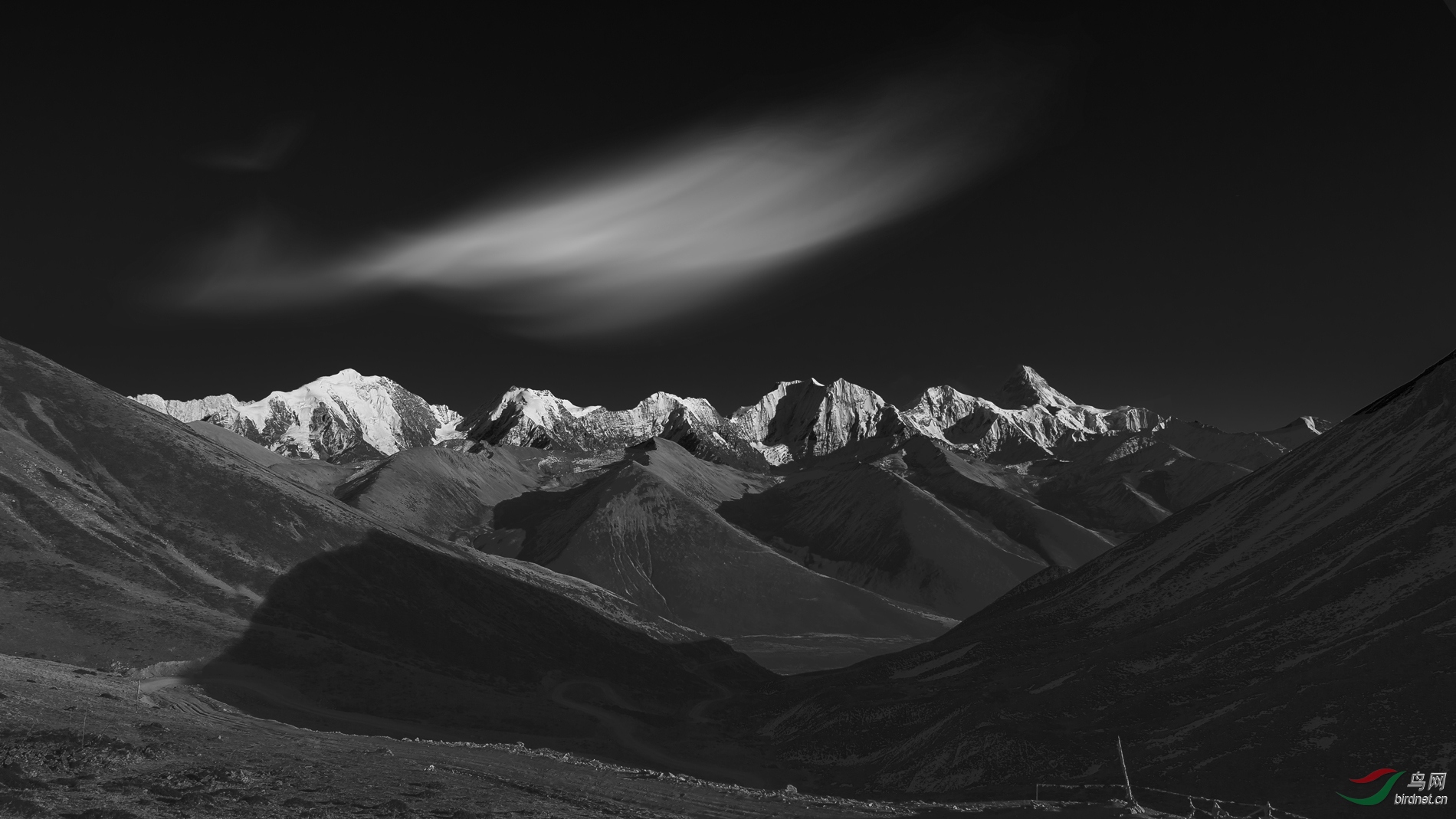 雪山倩影 - 黑白影像 鸟网