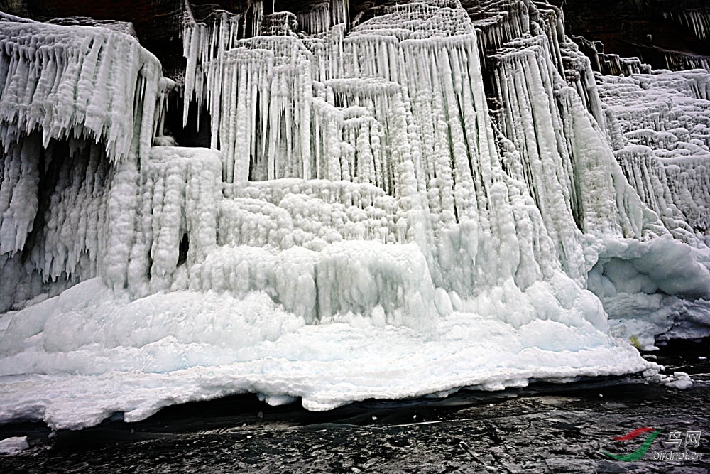 _DSC5436.jpg