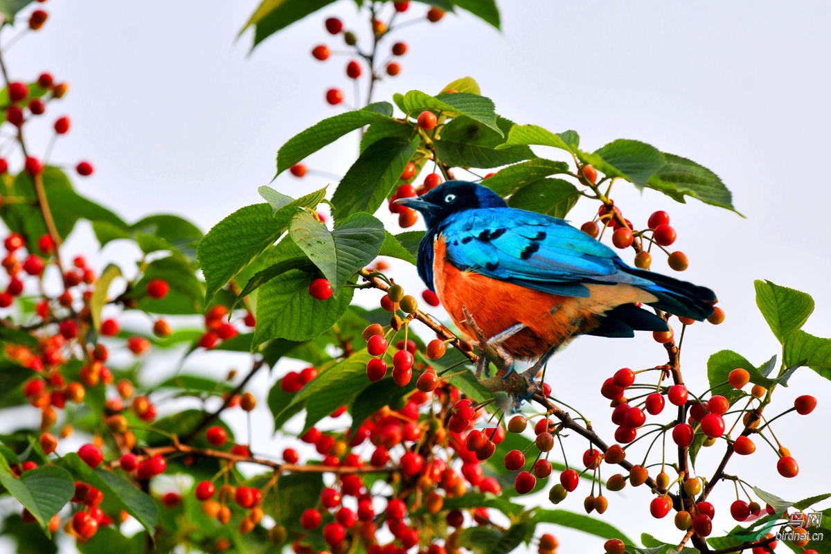 DSC_1702_��ͼ��.jpg