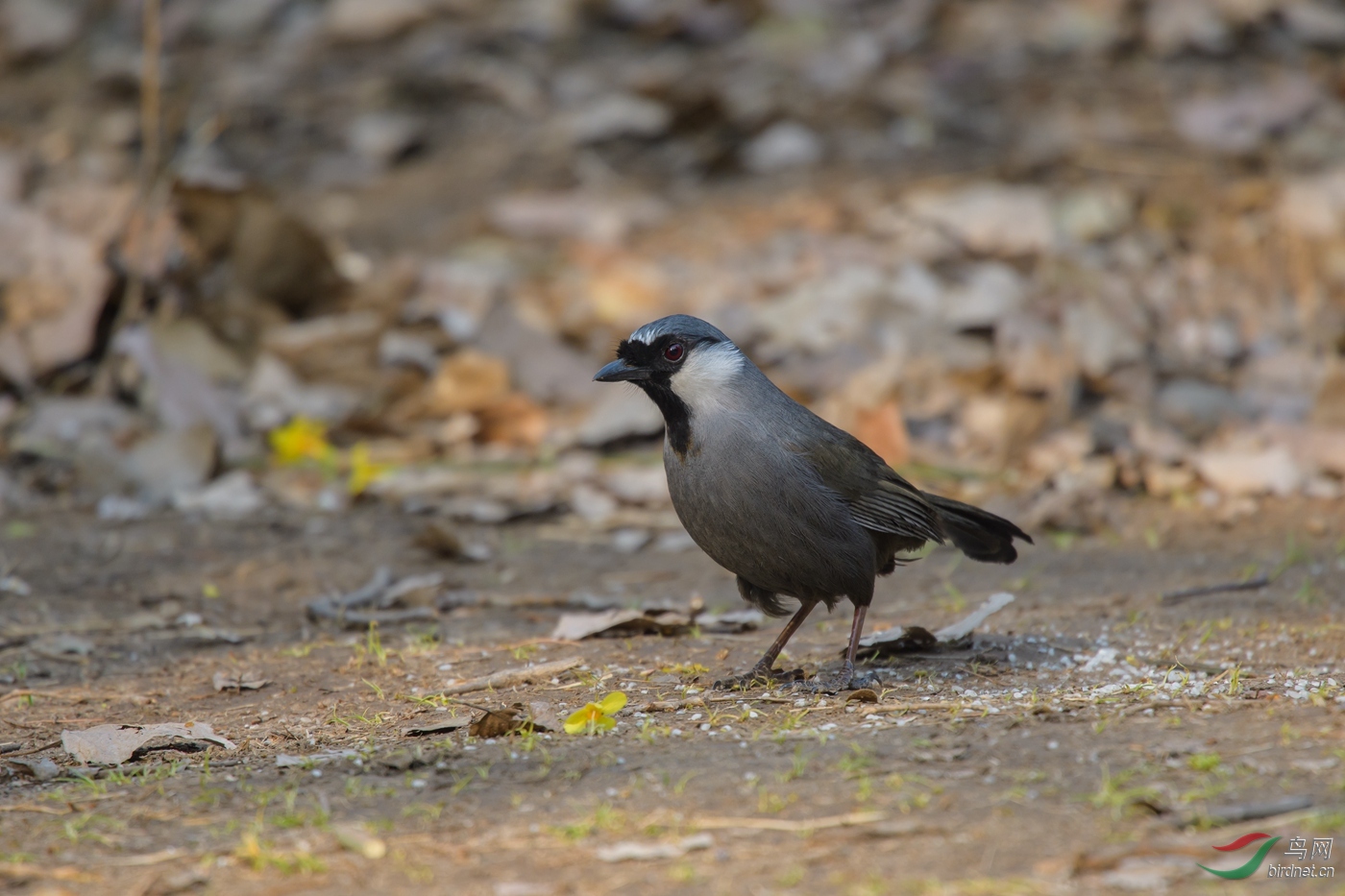 Neo_ 10m-DSC_0655_ACR.jpg