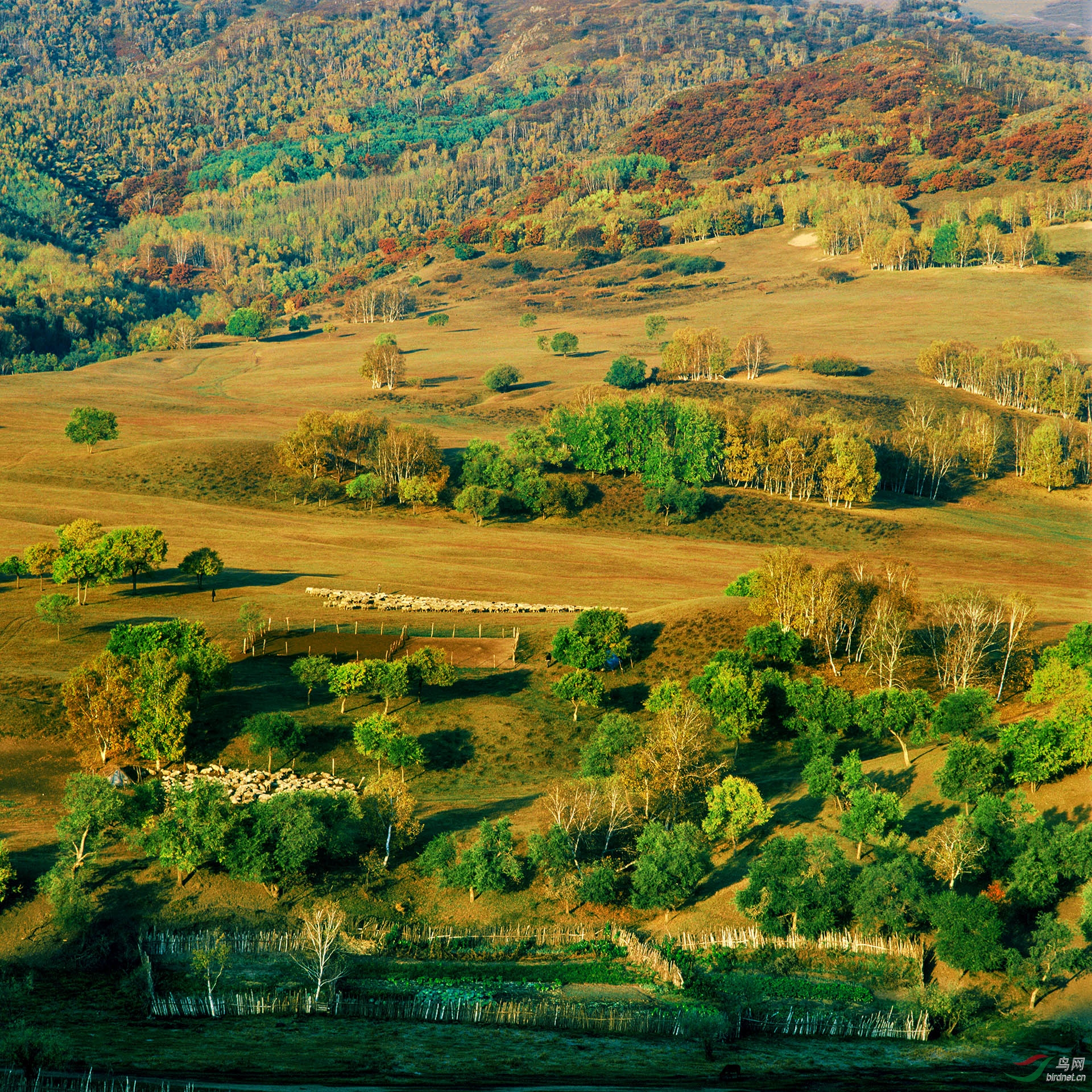 000058 ��������-�ָ���-1.jpg