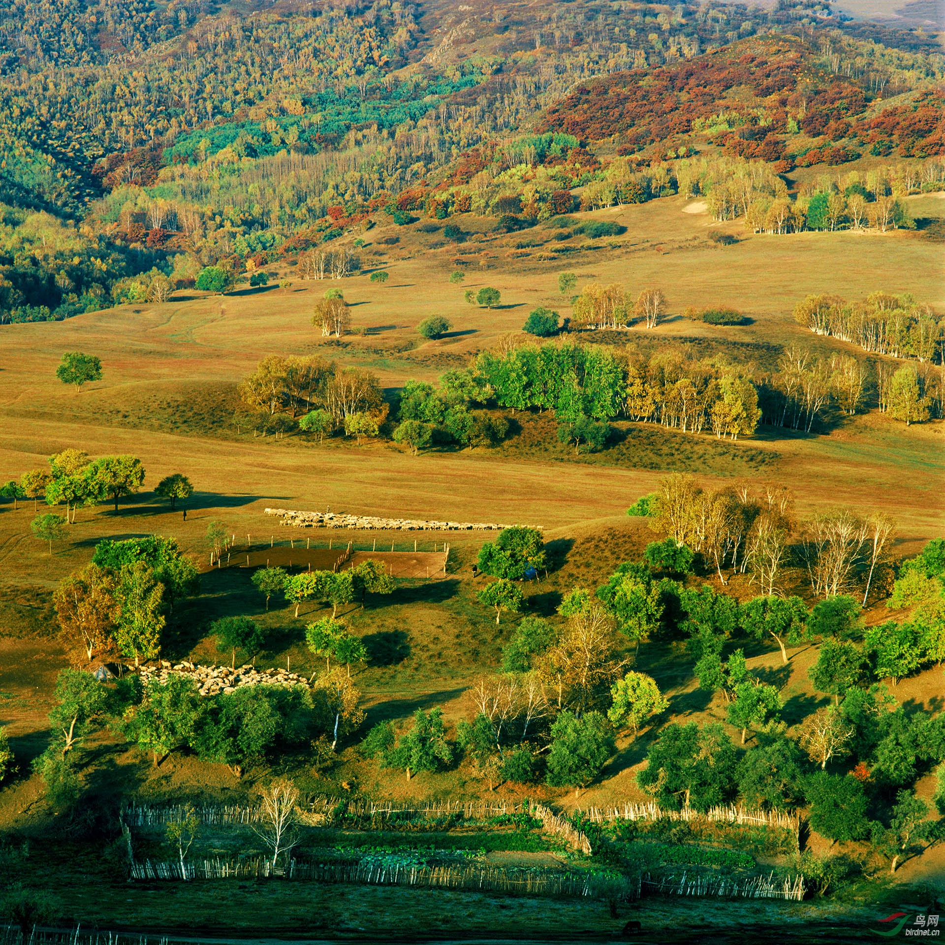 000058 ��������-�ָ���.jpg