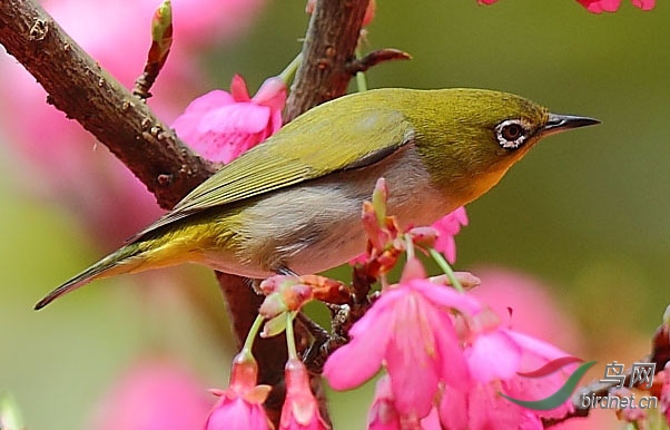 ��������3 - ���� - ����.jpg