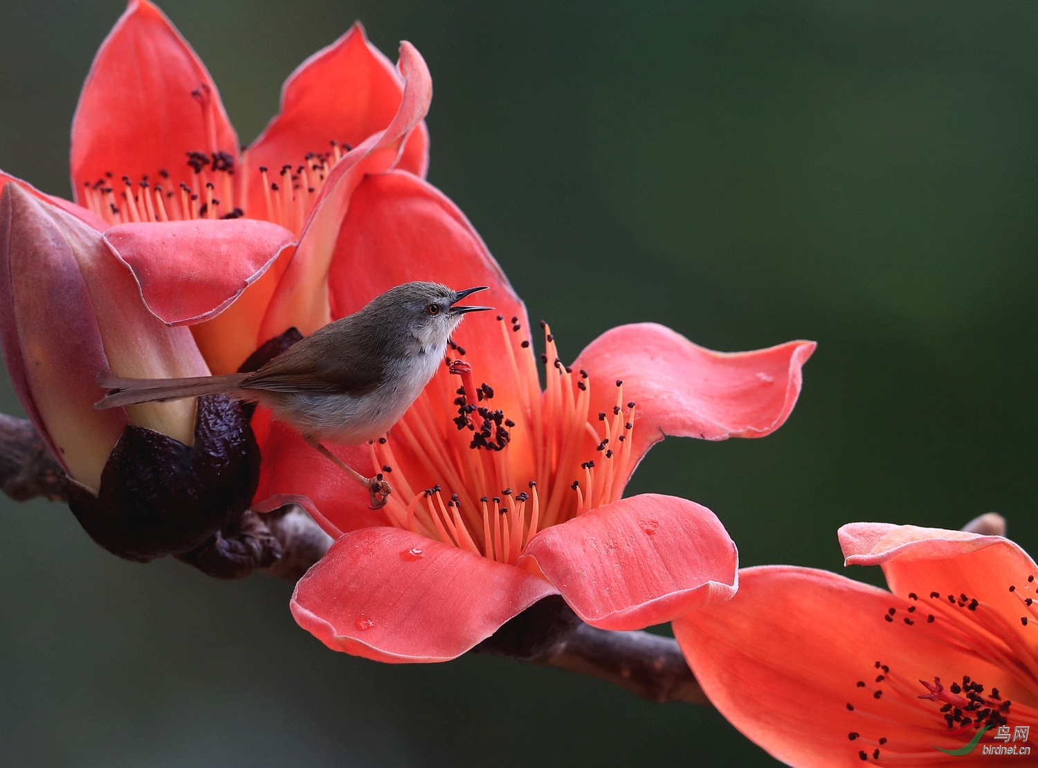 AI0I6310 - ����.JPG