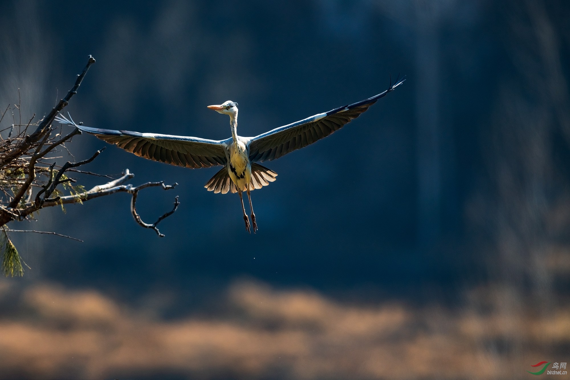 _DSC6975 ����_����.jpg