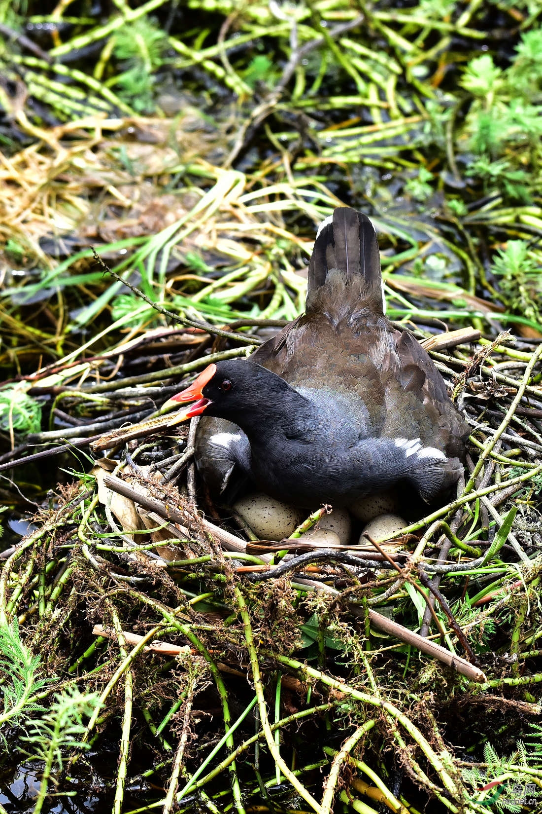 DSC_0428.JPG