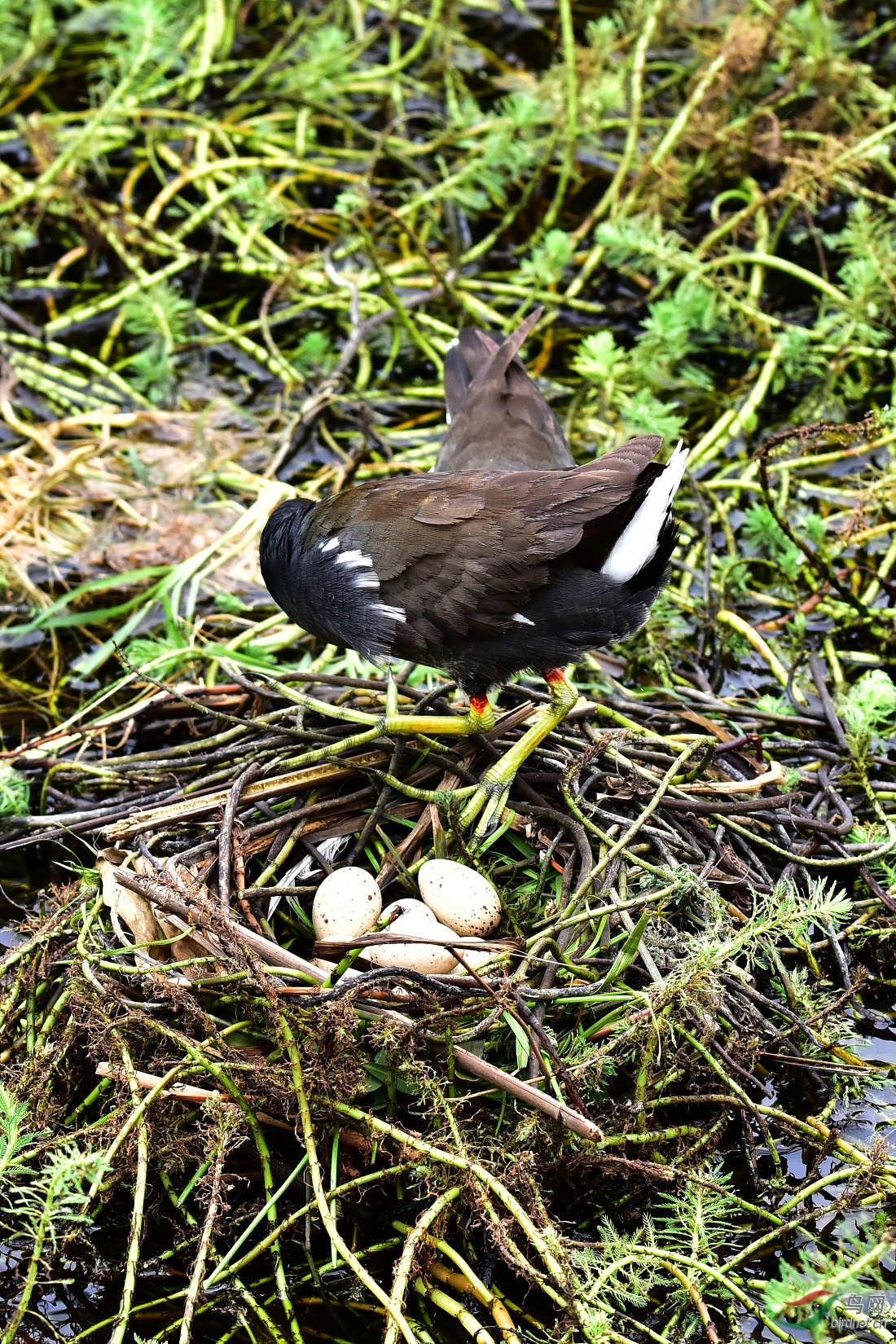 DSC_0432.JPG