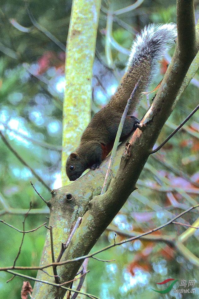 DSC_8778.JPG