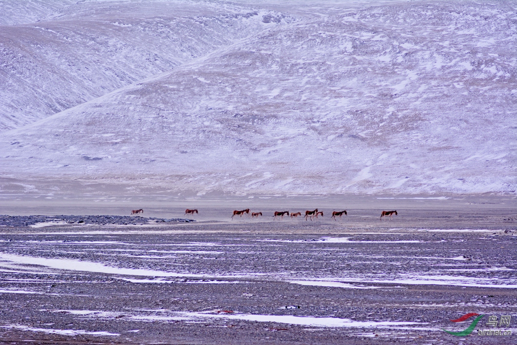 �    �й�    ����  ���ط��   18725261158  ���� (6).JPG