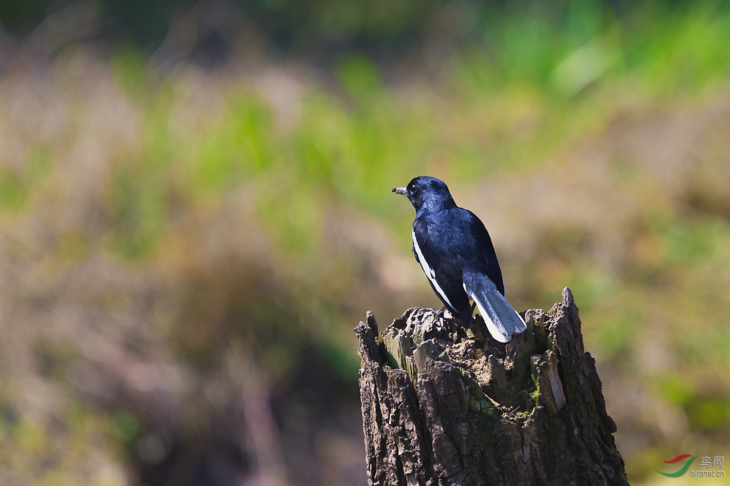 _DSC8985-2.jpg