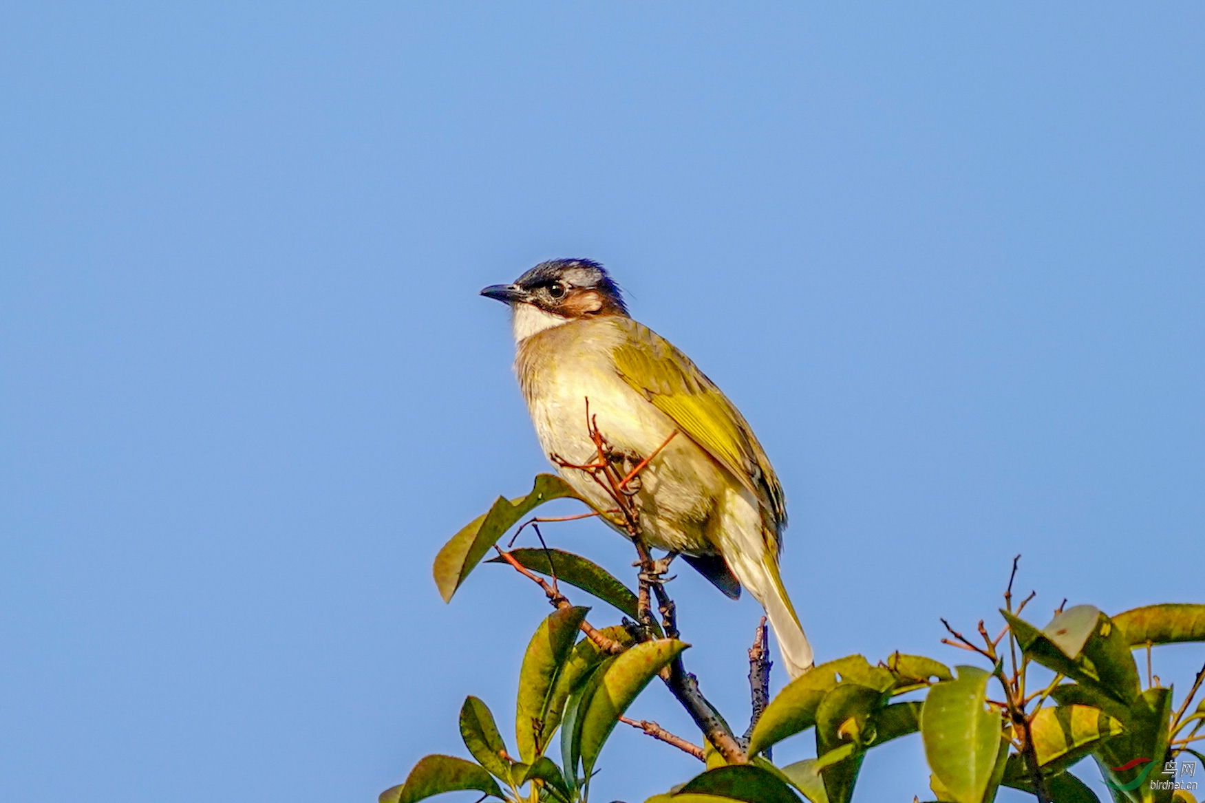 3.��ԡ����