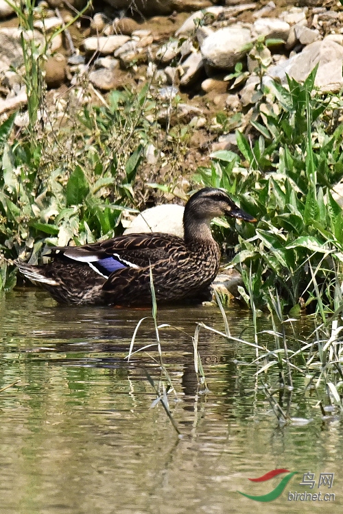 DSC_5541.JPG