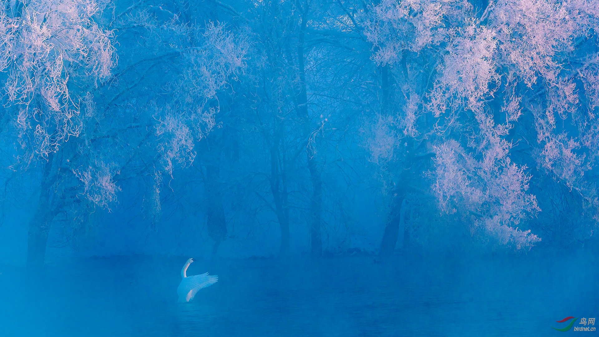 ��ڡ��� .jpg