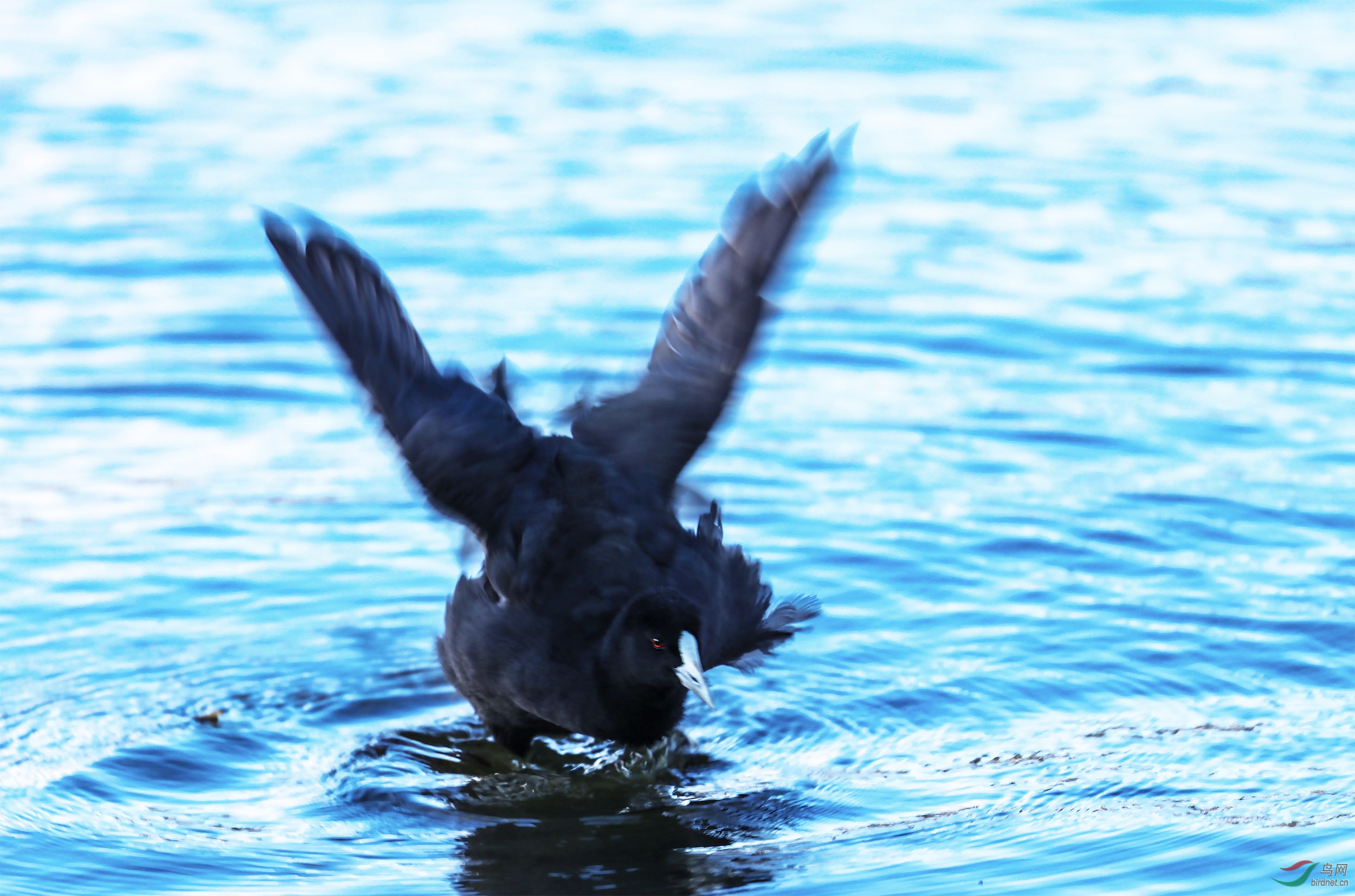IMG_15132_��ͼ��.jpg