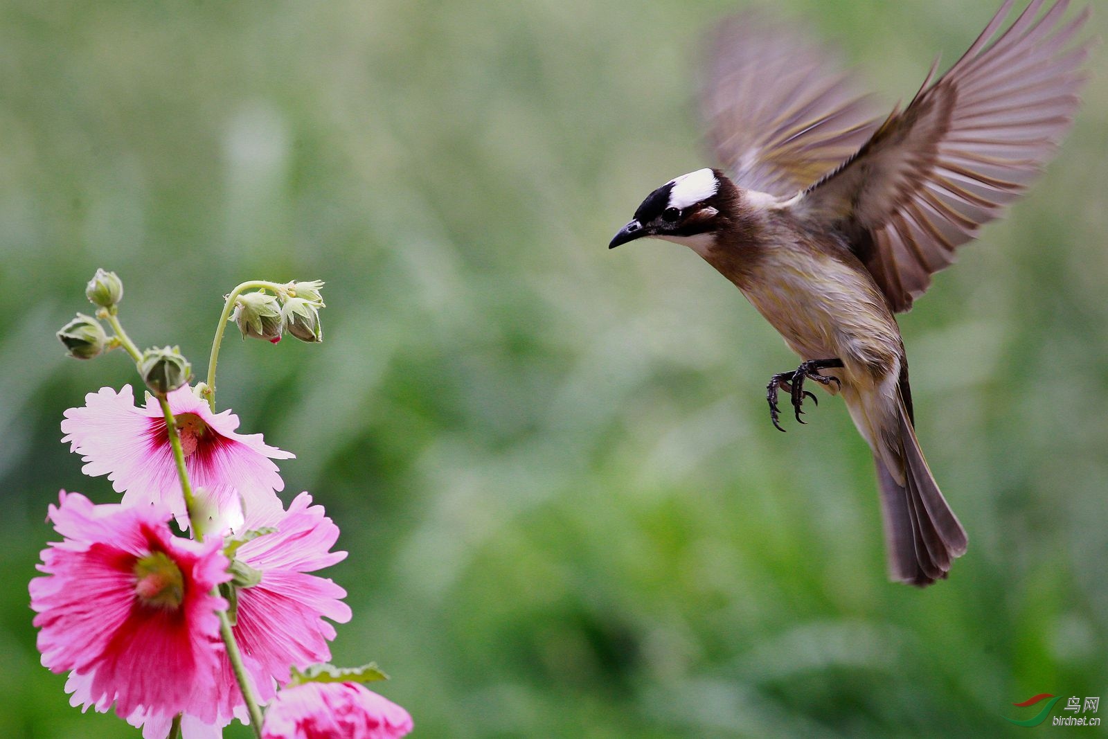 5.26_���� - ����.jpg