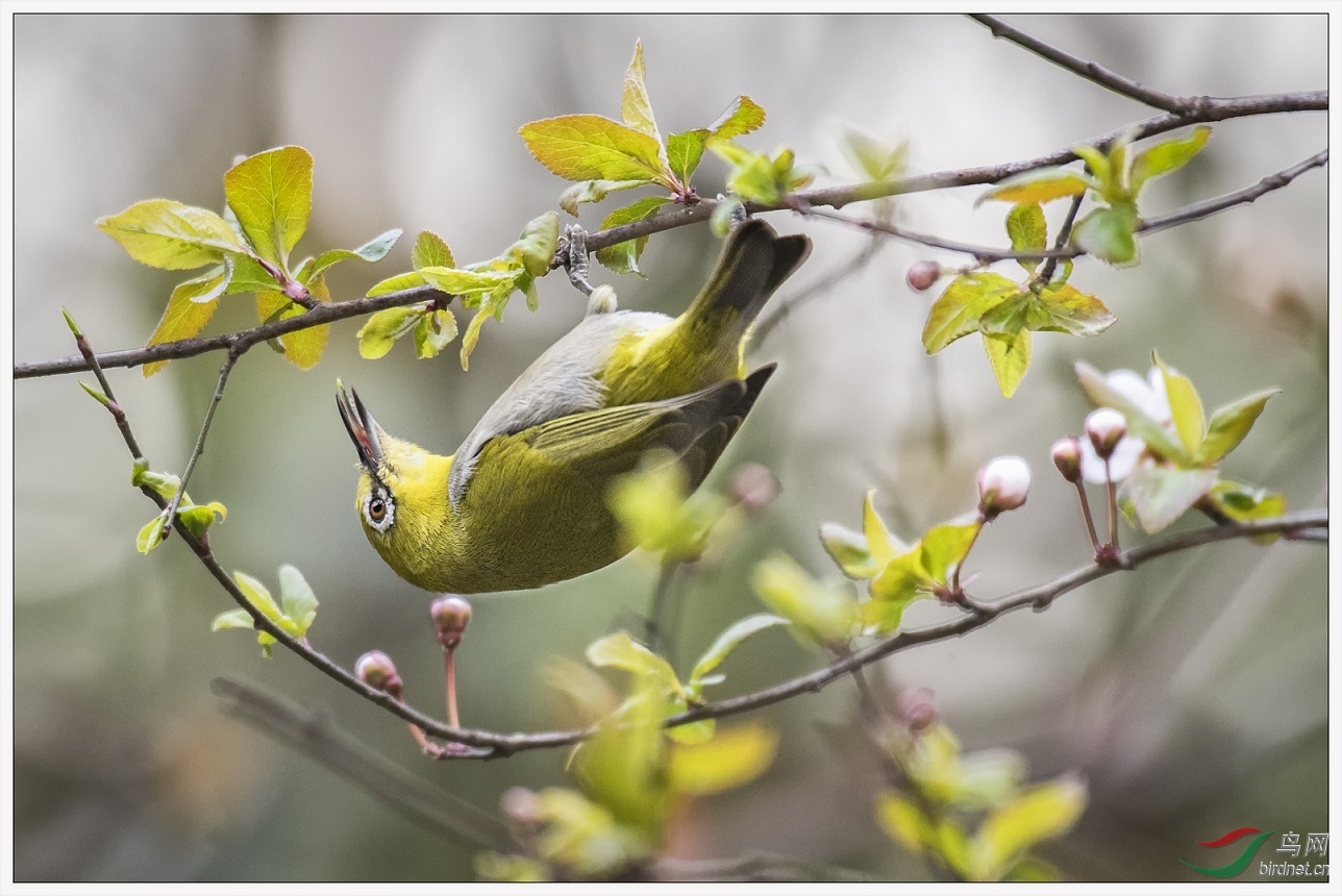 ���ҽ���