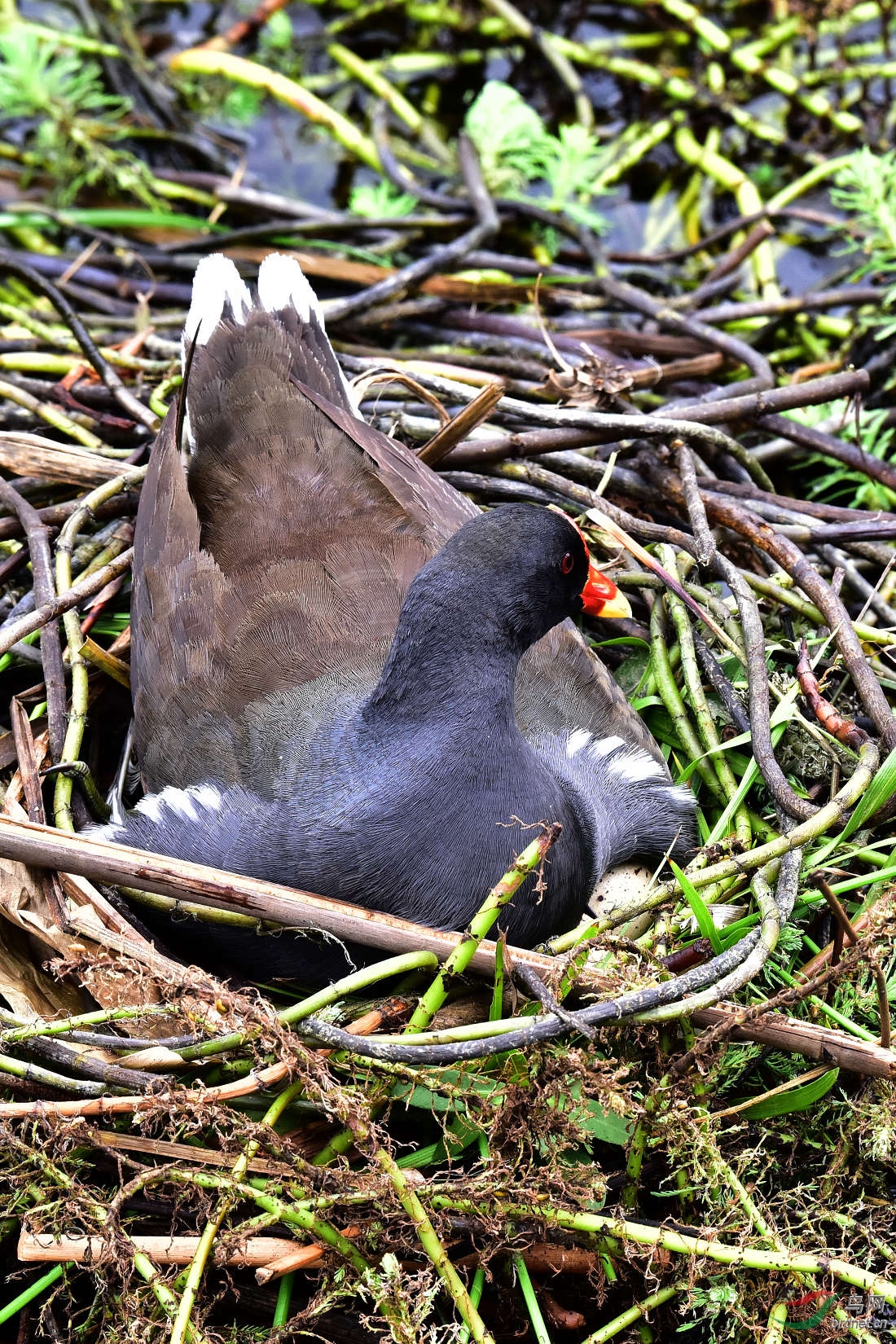 DSC_0456.JPG